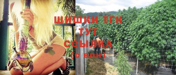 бошки Богданович