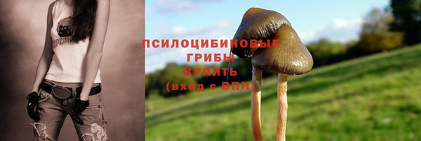 кокаин колумбия Богородицк