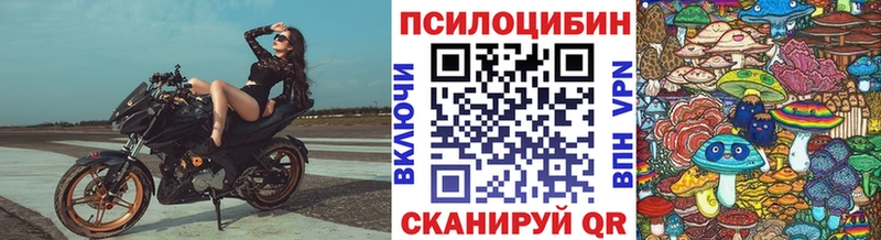 Галлюциногенные грибы Psilocybe  Дивногорск 